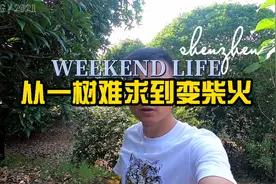 以前卖到2 3万块一颗的绿化苗木，如今几百块钱一颗都没人要视频封面