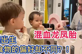 混血龙凤胎吃爸爸的最爱，哥哥超爱吃，妹妹闻闻都恶心，太逗了视频封面