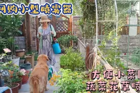 三十块钱网购小型喷雾器，方便小菜园喷施杀虫水营养水，挺好用的视频封面