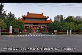 劲酒虽好，可不要贪杯哦。有喝过劲酒的吗？看看怎么喝才健康呦。