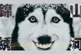 担仔派对，板的微笑狗，他很恐怖😱视频封面