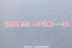 《张叔墓志》单字讲解——豪视频封面