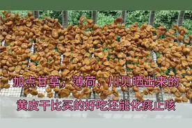 又到吃黄皮的季节，家里黄皮吃不完做成黄皮干，这样做比买好吃