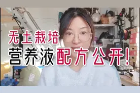 干货！教你用各种固体肥料DIY配制出无土栽培营养液：叶菜配方视频封面