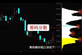 股市必备知识(筹码峰)视频封面