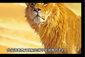 狮子座喜欢一个人视频封面