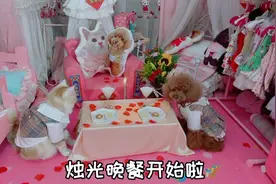 艾米和谁谁的第一个七夕，烛光晚餐安排起，好浪漫啊视频封面