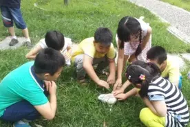 小学成绩不排名不公布，就像温水煮青蛙，一上初中接受不了视频封面