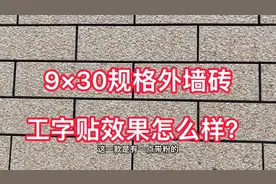 9×30规格外墙砖效果图，你觉得好看吗？用同系列深色搭配省钱