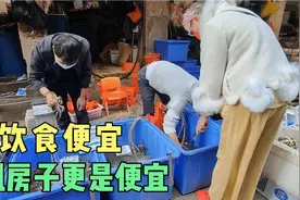 广州花都的消费也很低，比白云山稍微偏僻一点，这环境合适过日子视频封面