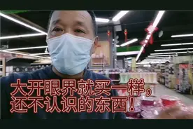 东北人到云南西双版纳过冬，自驾老李夫妻在西双版纳高级超市遛狗视频封面