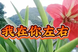 一首怀旧金曲《我在你左右》分享给朋友们。视频封面