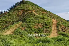 走过路过不要错过，可遇而不可求视频封面