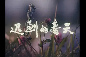 【迟到的春天】