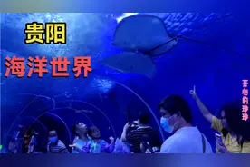 贵阳市多彩贵州极地海洋世界，一张门票168元，看看到底值不值？视频封面