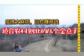 回村赚钱金点子，感觉有用请转发亲友…视频封面