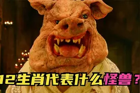 12生肖属性，分别代表什么怪兽？视频封面