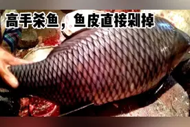 高手杀鱼，鱼皮直接剁掉，下刀角度精准，一条大鱼几分钟处理干净