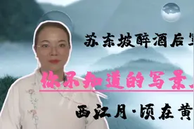 苏东坡醉酒后写了一篇写景名作，意境悠美仿如仙境，最适合幽居视频封面