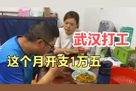 凡凡一家这个月开支一万五，房贷房租学费同时来了，快入不敷出了视频封面