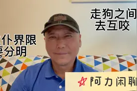 主仆和走狗间的关系视频封面