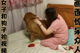 女孩穿着睡衣和狗子在床上拍视频，帮狗子挠痒痒这画面不可思议！视频封面