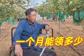 山东农民花9万买断养老保险，现在能领多少钱？不用再羡慕城里人视频封面