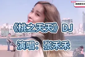 张禾禾-《桃之夭夭》DJ完整版   我掏出真心却换来毒药视频封面