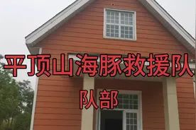 平顶山海豚救援队坐落于白鹭洲湿地公园东北角，欢迎有志之士加入视频封面