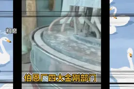 惠州网红厂三和伯恩光学，挑战万元月薪部门，四大金刚之精雕精磨视频封面
