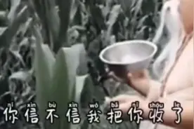 把你收了信不信视频封面