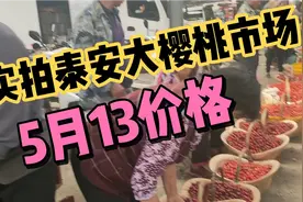 实拍大樱桃市场樱桃价格，最贵的樱桃品种是黄蜜樱桃，都在抢视频封面
