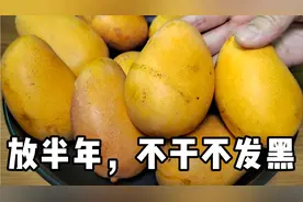 保存芒果最忌放冰箱保鲜，水果店老板教你一招，半年不干不发黑视频封面
