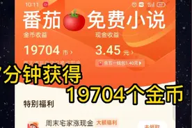 番茄🍅免费小说，连续9个广告金币，轻松获得19704个金币