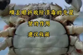 蟹的作用@中视频伙伴计划官号