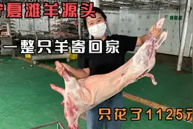 宁夏粉丝带我们去买正宗滩羊，一整只羊26.8斤，只花了1100好便宜视频封面