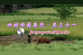 古诗精讲：《四时田园杂兴•其三十一》视频封面