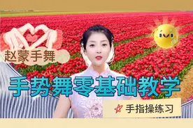 《手势舞零基础教学》手指操分享，二十个动作前五个动作!视频封面