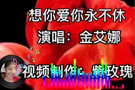 金艾娜的《想你爱你永不休》旋律优美悦耳动听！歌声醉人百听不厌视频封面