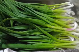 蒜苗吃不完这样保存，不腌不晒，不变色不变味，非常新鲜