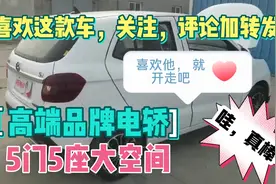 鸿日高端品牌电轿，厂家直销一台发货视频封面