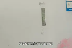 海尔冰箱怪病维修，工作几分钟整机断电，十几分钟后自动通电视频封面