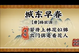 《城东早春》杨巨源，一句“出门俱是看花人”反映出大唐的盛世。视频封面