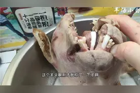 今天的羊头非常标准，看看四斤半的羊头能出多少羊脸肉。视频封面