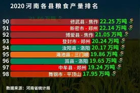 河南各县粮食产量排名