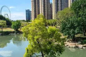 福州市中心人口开始减少，买房人要小心了！一些二手房不要碰！视频封面