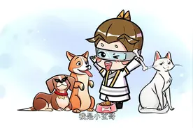.为什么家里养的狗比养的猫更和人亲近呢？视频封面