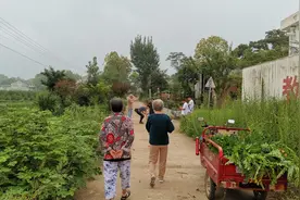 农村有30万存款的农民，属于什么水平？他们都活成啥样？