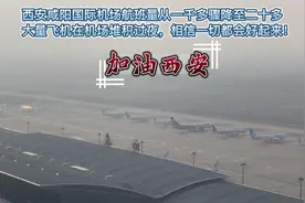 西安咸阳国际机场航班量骤降99%，西安加油！视频封面