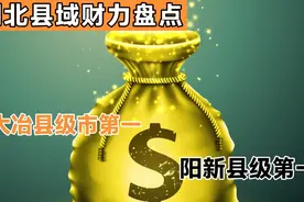 湖北县域财力盘点，大冶县级市第一，阳新县县级第一视频封面